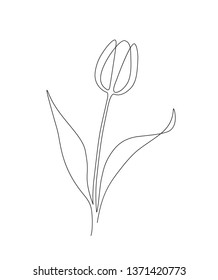 minimal lovely illustration of an almost closed tulip drawn with a continuous line.