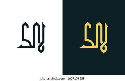 Minimal Luxury Line Art Letter Sn Stock Vector (Royalty Free ...