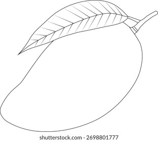 Minimal mango outline vector perfect for fruit, tropical, and food-themed designs. Ideal for logos, icons, posters, websites, and digital projects.