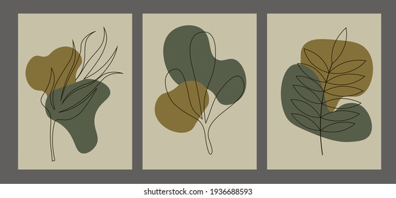 Minimal natural art. Vector illustration. Botanical vector set.