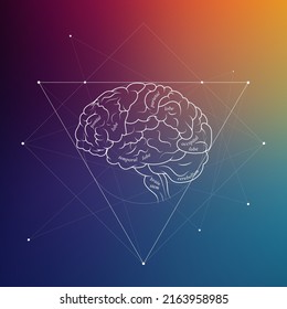 Minimal neuroscience infographic on gradient. Human brain lobes and functions illustration. Brain anatomy structure sections. Futuristic neurobiology scientific medical vector.