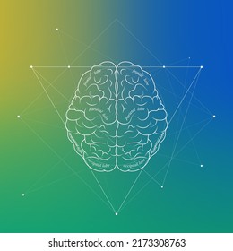 Minimal neuroscience infographic on gradient. Human brain lobes and functions illustration. Brain anatomy structure sections. Futuristic neurobiology scientific medical vector.