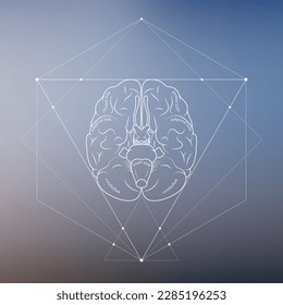 Minimal neuroscience infographic on gradient. Human brain lobes and functions illustration. Brain anatomy structure sections. Futuristic neurobiology scientific medical vector.