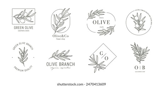 Minimal olive logo templates with olive branches in trendy linear style. Vector leaves and olive fruits