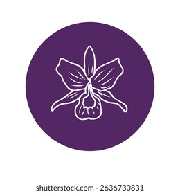 Minimal orchid vector in a clean outline style. Suitable for skincare, spa branding, or botanical elements.