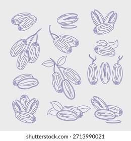 Conjunto mínimo de ícones de vetor de contorno de frutas de data com traçado azul. Adequado para design moderno de interface do usuário, ilustração de alimentos, conteúdo Ramadã e projetos gráficos simples