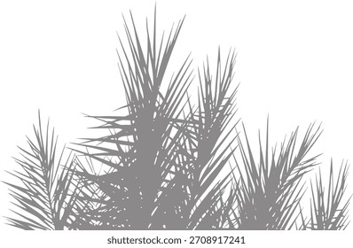 La silueta mínima de la hoja de palma forma un diseño tropical limpio. Las Formas botánicas afiladas crean una ilustración moderna y elegante. Gráfico de naturaleza elegante perfecto para obras de arte decorativas.