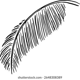Minimal Palm Leaf Sketch for Cafe Stationery