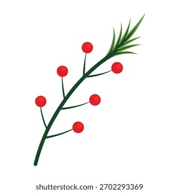 Minimal pine branch with red berries isolated on white background