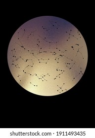 Minimal Poster with Star Map and Constellations. Vector Design with Gold Texture