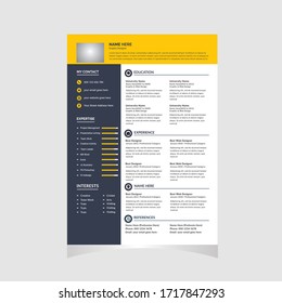 Minimal professional CV / resume template 