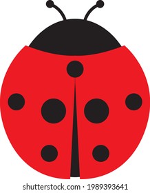 Minimal red and black lady bug vector drawing. The lady bug has black dots on its red wings and antenna