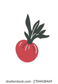 minimal red tomato in flat style white background artwork