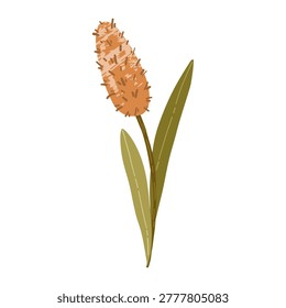 Minimal reed grass botanical illustration in soft earthy colors. 