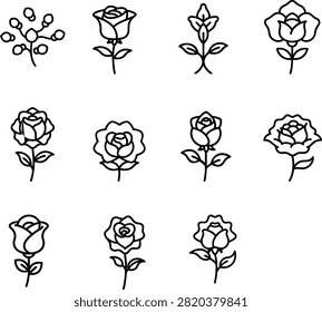 Minimal Rose Flower Outline Botanical Line Art Icon Collection Isolated on White Background