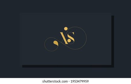 Letras iniciales reales mínimas con el logotipo de XS. Este logotipo incorpora un tipo de letra de lujo de forma creativa.Será adecuado para qué empresa o marca empiezan esos iniciales.