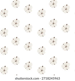 Modelo inconsútil mínimo con las flores suaves del algodón en el fondo blanco limpio, perfecto para las impresiones textiles, envoltura, decoración y proyectos botánicos del diseño