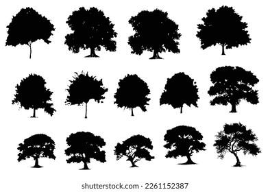 Minimal silhouette style cad tree line drawing, Side view, set of graphics trees elements outline symbol for architecture and landscape design drawing. Vector illustration in stroke fill in white.