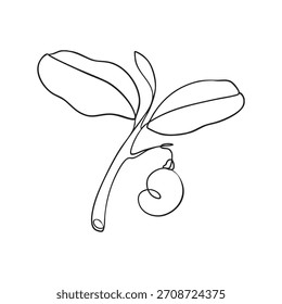 Dibujo mínimo de una sola línea de una rama de anacardo joven con hojas y nuez de anacardo.