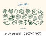 Minimal sketch style seashells vector illustration collection. Art for postcards, print posters, packaging design.