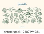 Minimal sketch style seashells vector illustration collection. Art for postcards, print posters, packaging design.