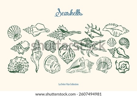 Minimal sketch style seashells vector illustration collection. Art for postcards, print posters, packaging design.