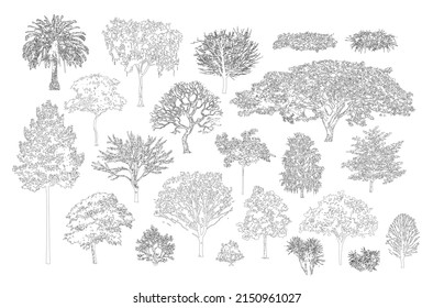 Minimal style cad tree line  Side view  set graphics trees elements outline symbol for architecture   landscape design drawing  Vector illustration in stroke fill in white  Tropical