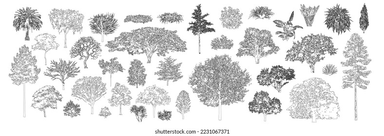 Dibujo de línea de árbol de cad de estilo mínimo, vista lateral, conjunto de elementos de árboles gráficos símbolo de contorno para diseño de arquitectura y paisaje. Ilustración vectorial en el trazo rellena de blanco. Tropical, roble