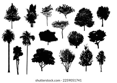 Minimal style cad tree line drawing, Side view, set of graphics trees elements outline symbol for architecture and landscape design drawing. Vector illustration in stroke fill in white. Tropical