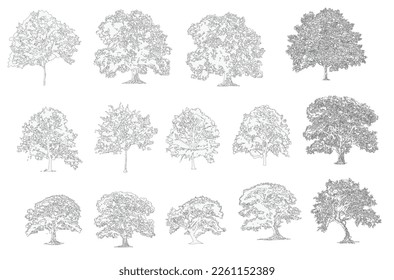 Minimal style cad tree line drawing, Side view, set of graphics trees elements outline symbol for architecture and landscape design drawing. Vector illustration in stroke fill in white.