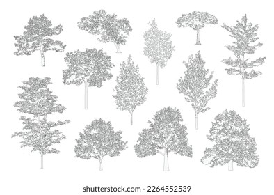 Minimal style cad tree line drawing, Side view, set of graphics trees elements outline symbol for architecture and landscape design drawing. Vector illustration in stroke fill in white. Tropical