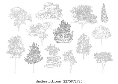 Minimal style cad tree line drawing, Side view, set of graphics trees elements outline symbol for architecture and landscape design drawing. Vector illustration in stroke fill in white.