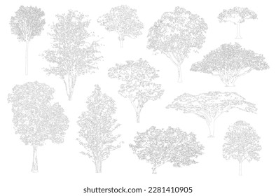 Minimal style cad tree line, Side view, set of graphics trees elements outline symbol for architecture and landscape design drawing. Vector illustration in stroke fill in white. Tropical