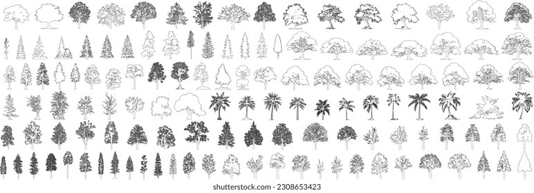 Minimale Baum-Baum-Zeichnung, Seitenansicht, Satz von Grafiken Elemente umreißen Symbol für Architektur- und Landschaftsdesign-Zeichnung. Vektorgrafik in Schlaganfall füllen weiß. Tropische Eiche