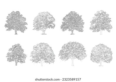 Minimal style cad tree line drawing, Side view, set of graphics trees elements outline symbol for architecture and landscape design drawing. Vector illustration in stroke fill in white. Tropical