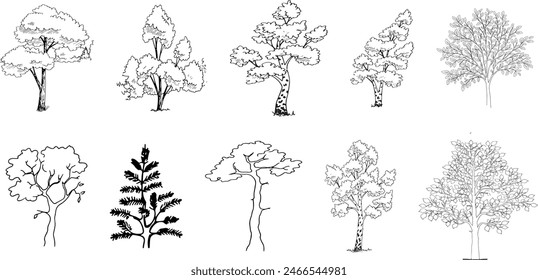 Dibujo de línea de árbol cad de estilo minimalista, vista lateral, conjunto de gráficos árboles Elementos contorno para el diseño arquitectónico y paisajístico dibujo