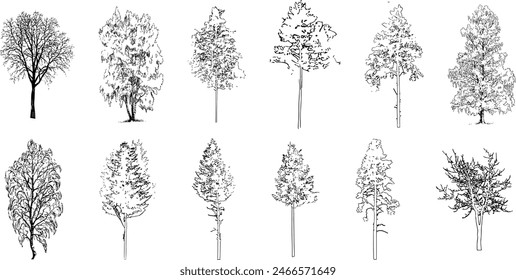 Dibujo de línea de árbol cad estilo minimalista, vista lateral, conjunto de gráficos árboles Elementos contorno símbolo para la arquitectura y el diseño de paisajes. 