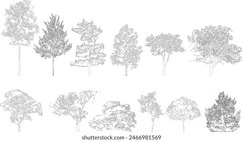 Minimal style cad tree line drawing, Side view, set of graphics trees elements outline symbol for architecture and landscape design drawing. Vector illustration in stroke fill in white. Tropical