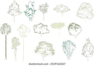 Minimal style cad tree line drawing, Side view, set of graphics trees elements outline symbol for architecture and landscape design drawing. Vector illustration in stroke fill in white.