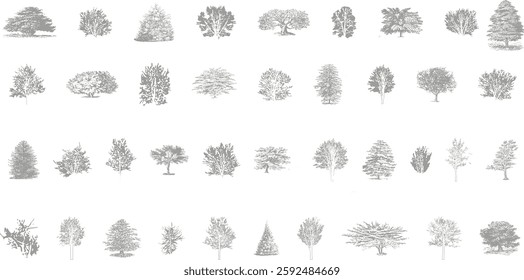 Minimal style cad tree line drawing, Side view, set