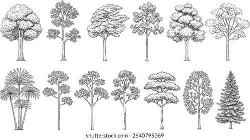 Minimal style cad tree line drawing, Side view, set of graphics trees elements outline symbol for architecture and landscape design drawing. 