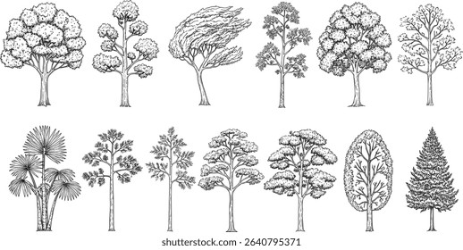 Minimal style cad tree line drawing, Side view, set of graphics trees elements outline symbol for architecture and landscape design drawing. 