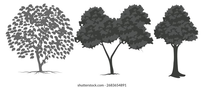 Minimal style cad tree line drawing, Side view, set of graphics trees elements outline symbol for architecture and landscape design drawing