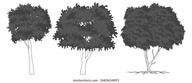 Dibujo de línea de árbol de cad de estilo mínimo, vista lateral, conjunto de Elementos de árboles gráficos símbolo de contorno para diseño arquitectónico y paisajístico