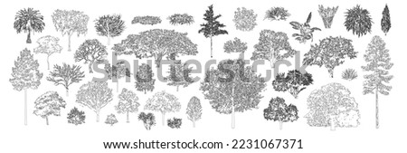 Minimal style cad tree line drawing, Side view, set of graphics trees elements outline symbol for architecture and landscape design drawing. Vector illustration in stroke fill in white. Tropical, oak