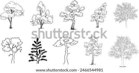 Minimal style cad tree line drawing, Side view, set of graphics trees elements outline symbol for architecture and landscape design drawing