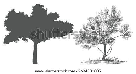 Minimal Style CAD Tree Line Drawings Side View Set of Tropical Tree Outline Symbols for Architecture and Landscape Design  Vector Illustration in White Stroke