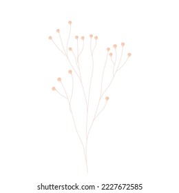 Estilo minimalista. Flores secas. Tarjeta de invitación mínima. Ilustración de material vectorial. Aislado sobre un fondo blanco.