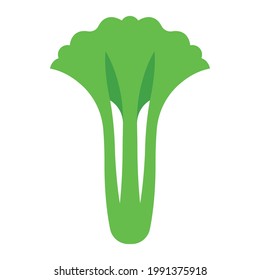 Сelery. Minimal style green celeriac.  Minimal style, side view. Abstract geometric vegetable on white background. Modern minimalistic template.