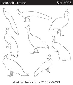 Minimal style peacock line drawing, Side view, set of graphics peacocks elements outline symbol for creating coloring pages, prints. design drawing. Vector illustration in stroke fill in white.